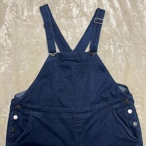 Casual Minimalist Kidcore Unisex Layering Indigo Dark Wash Denim Overalls